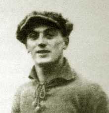 Lipizer Franco